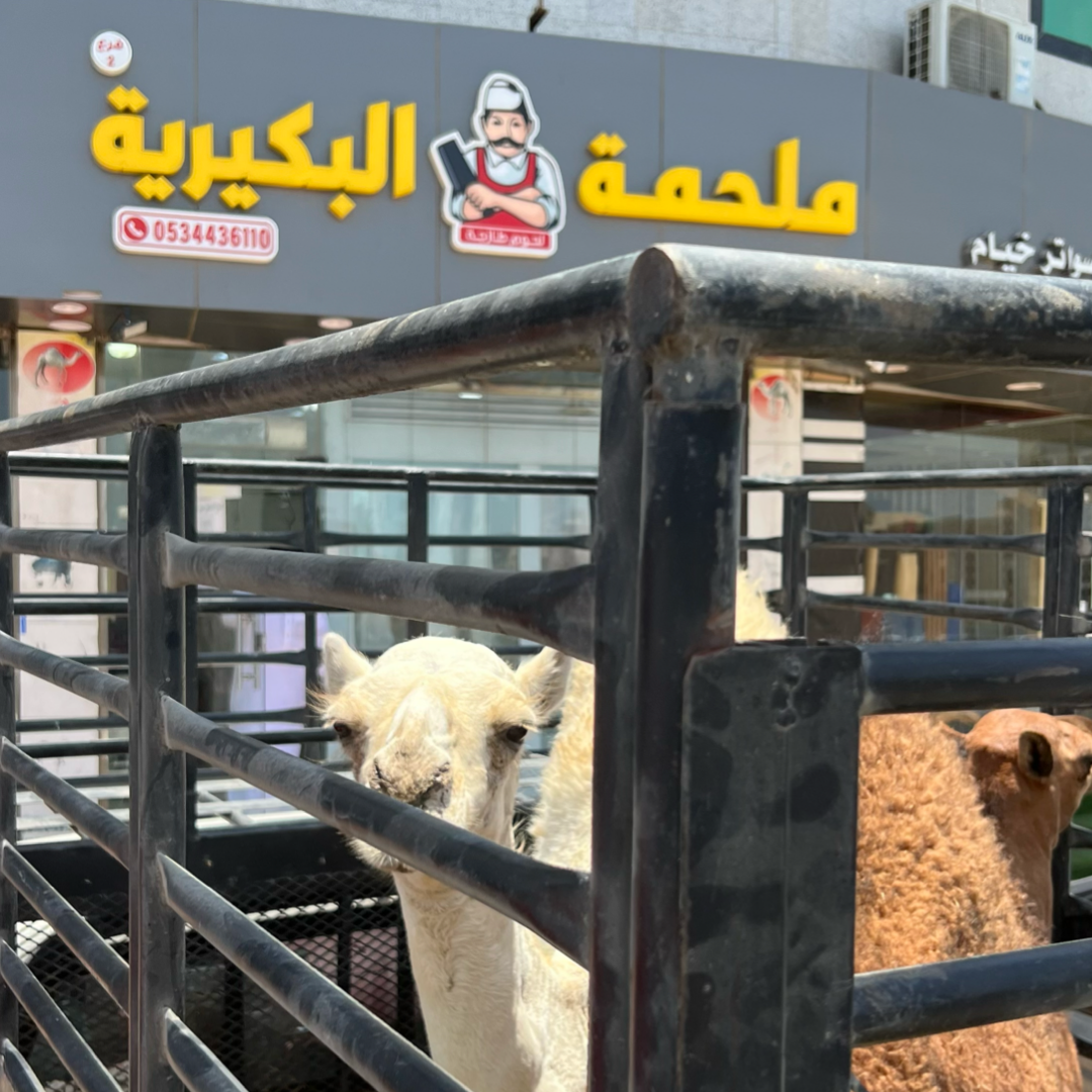 ملحمة البكيرية