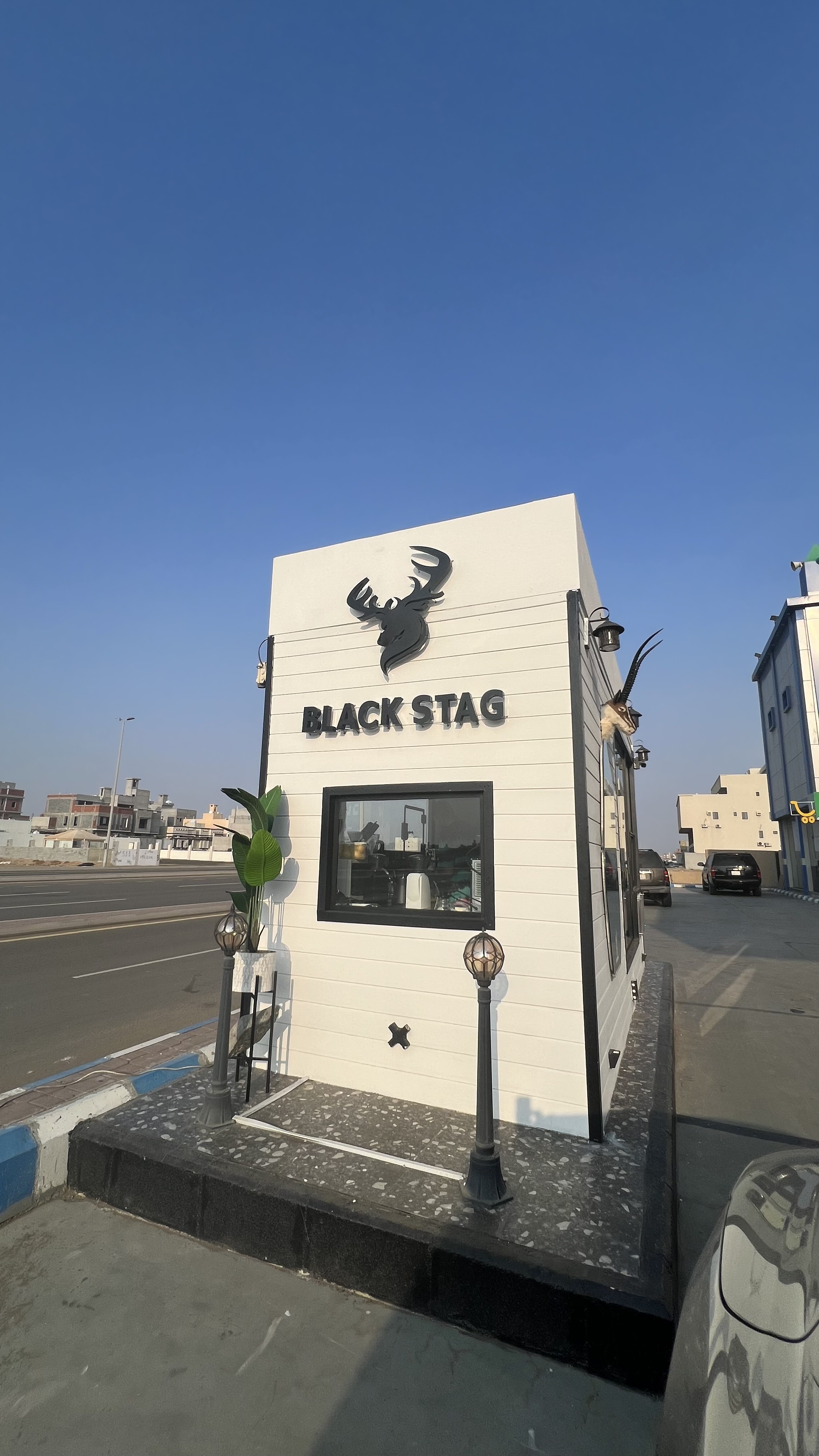 Black stag