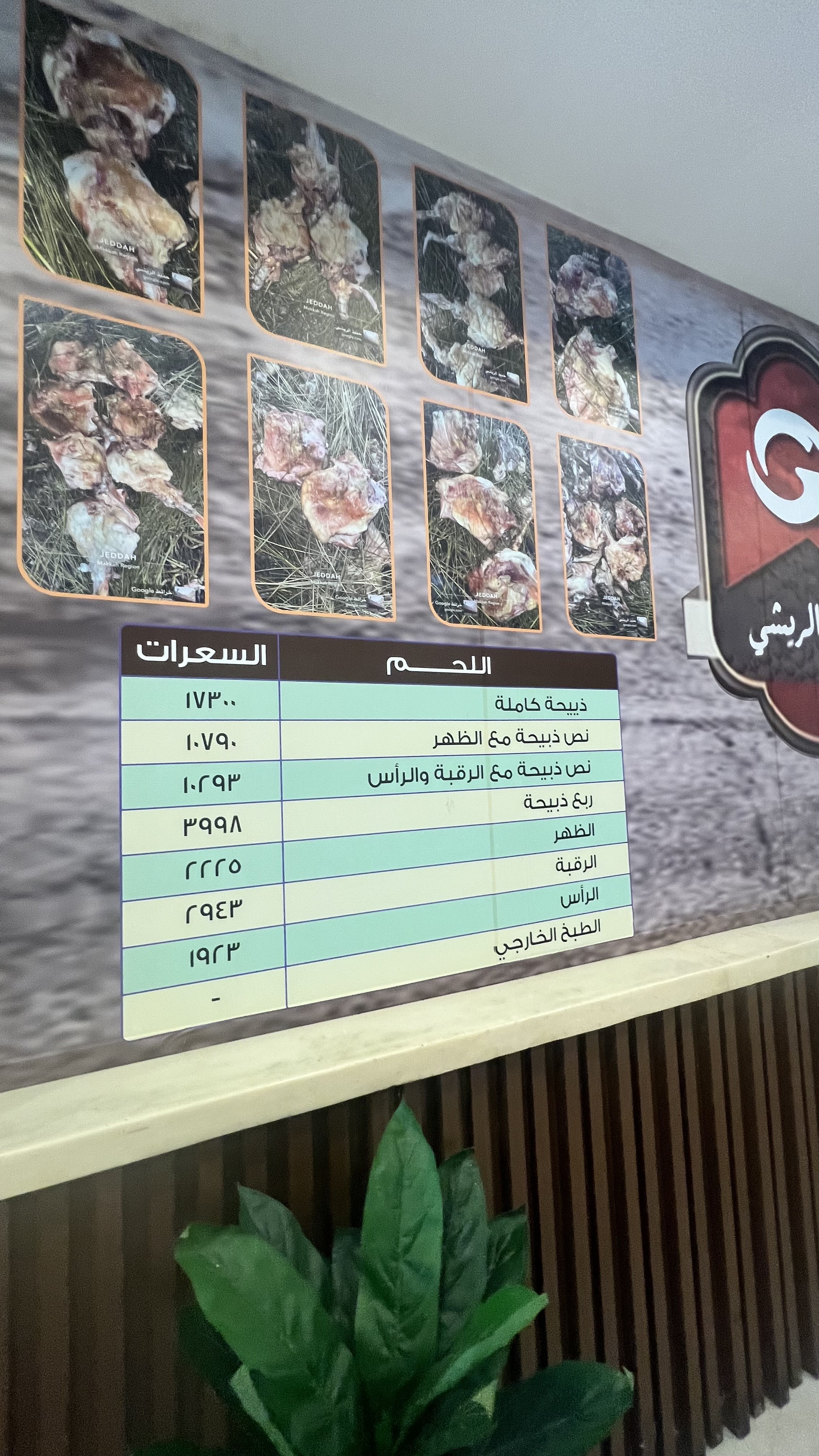 حنيذ الريشي